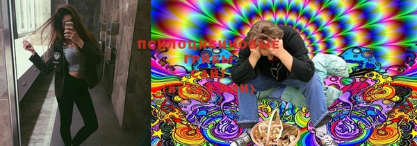 мяу мяу мука Вязники