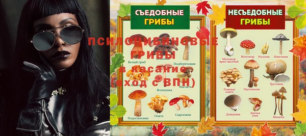 apvp Вязьма