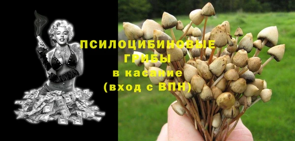 apvp Вязьма
